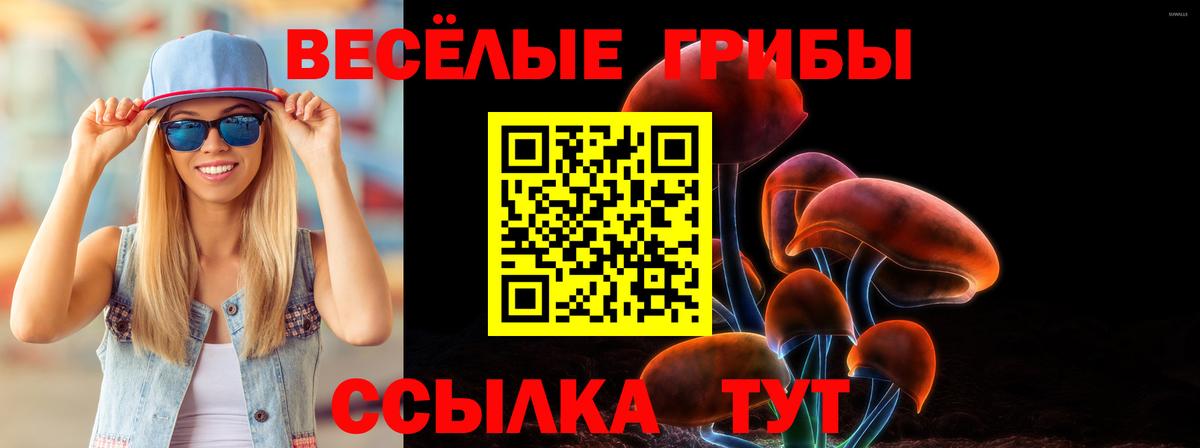 Псилоцибиновые грибы мицелий Сокол