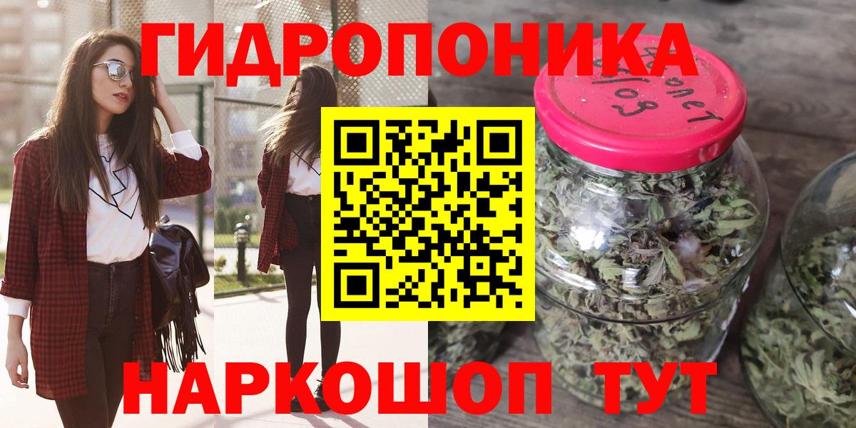 Канабис SATIVA & INDICA Сокол